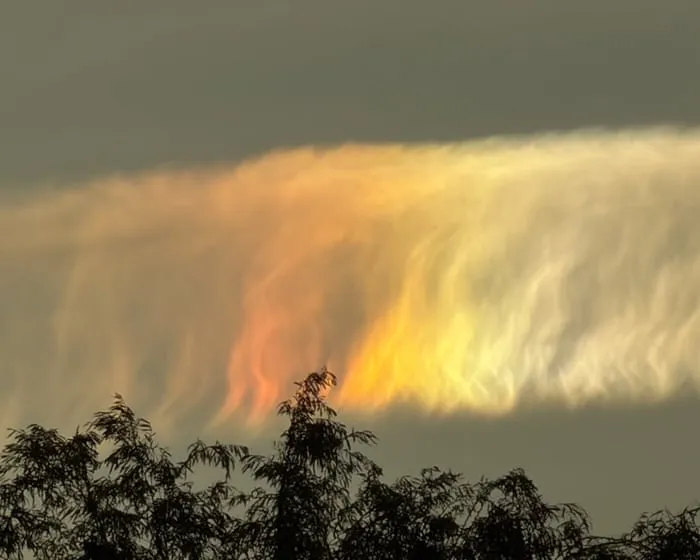 Cloudy with a chance of rainbow: iridescent clouds brighten the sky over parts of Victoria