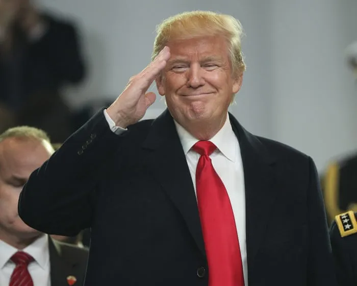 Trump ally resigns from post leading inquiry into alleged conspiracy against president