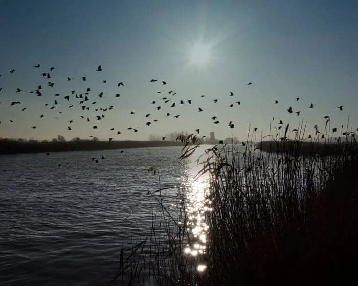 ‘Cash to trash’ levy on house developers too low to offset damage to Norfolk Broads, say critics