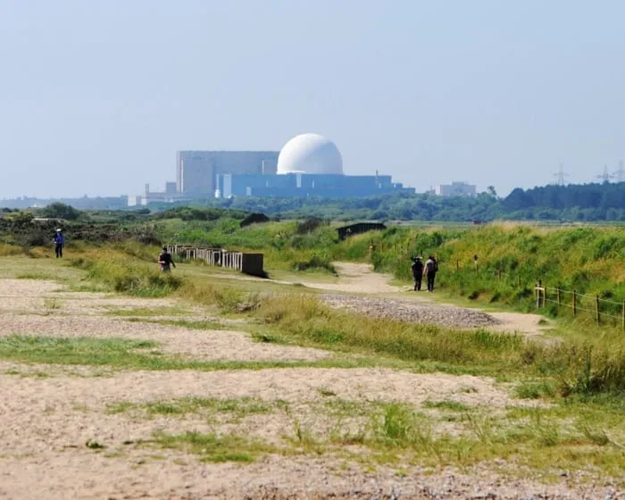 Green party drops longstanding opposition to nuclear power