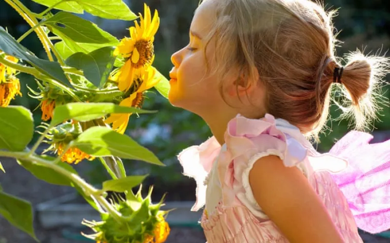 Smelling test: children need education in sniffing aromas, scientist says