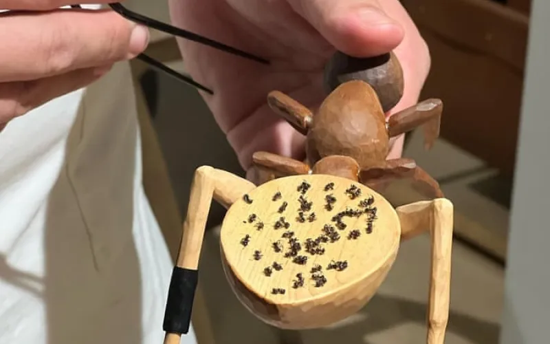Michelin-starred Seoul restaurant fined for serving dessert topped with ants