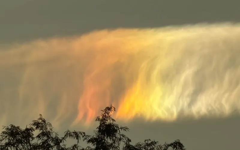 Cloudy with a chance of rainbow: iridescent clouds brighten the sky over parts of Victoria