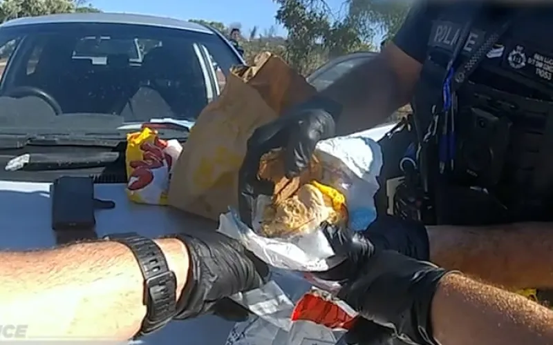 Meal deal: meth found hidden inside McMuffin during a police car search in Western Australia