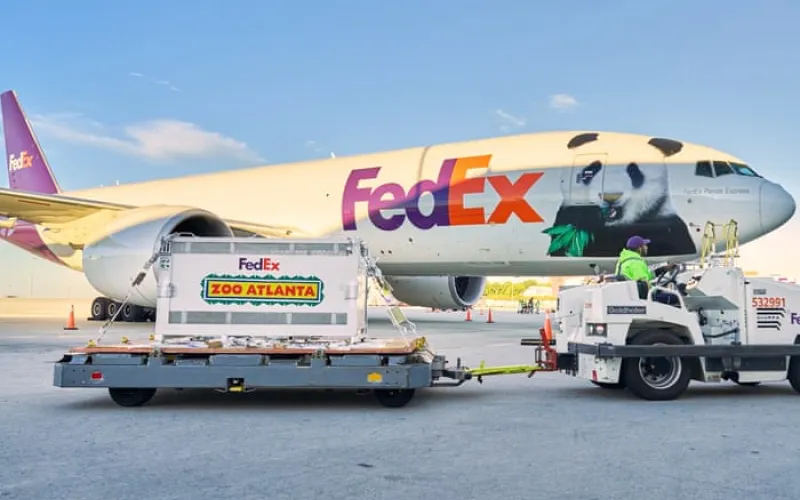 Two giant pandas arrive in Atlanta from China after Xi-Trump summit