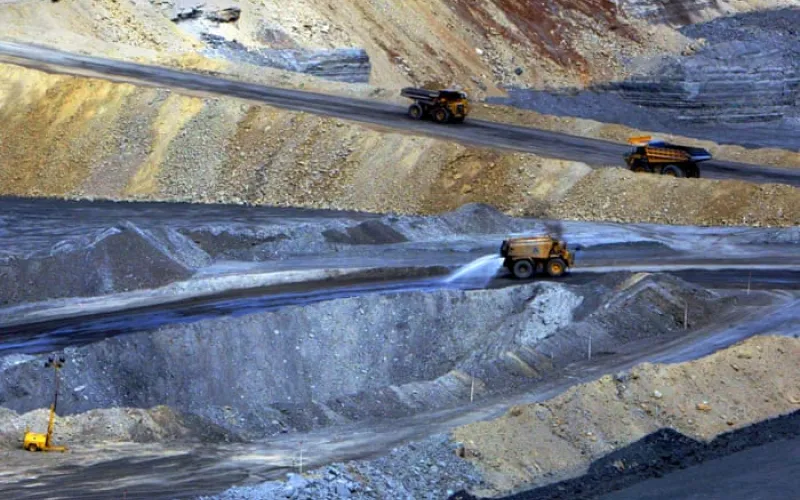 Queenslanders’ rights to oppose mining projects ‘gutted’ by new laws, activists say