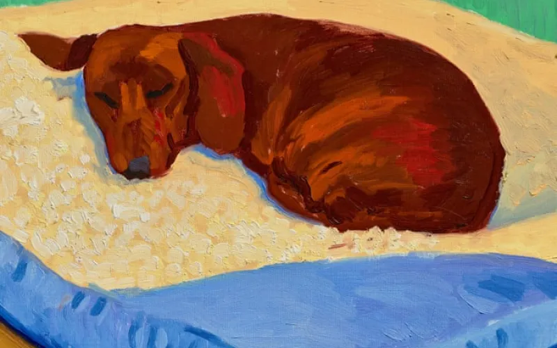 Rare sale of David Hockney painting of beloved dog Stanley could fetch £2.5m