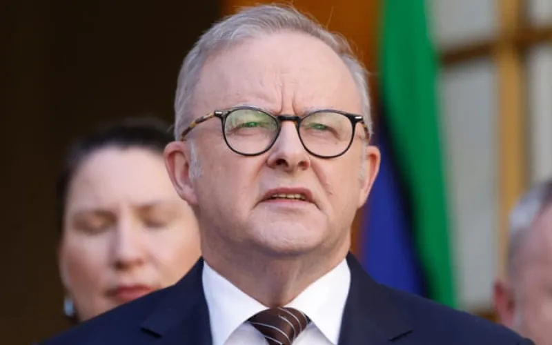 Pocock calls for AI safety act after Medicare breach – as it happened