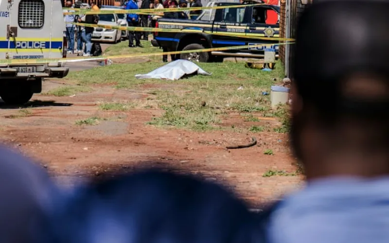 ‘We are prey’: discovery of seven women’s bodies fuels anger over femicide in South Africa