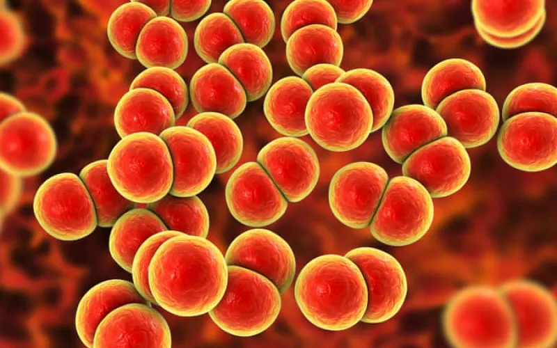 Gonorrhoea and syphilis rise by more than 50% in Australia with ‘concerning’ rise in cases in women
