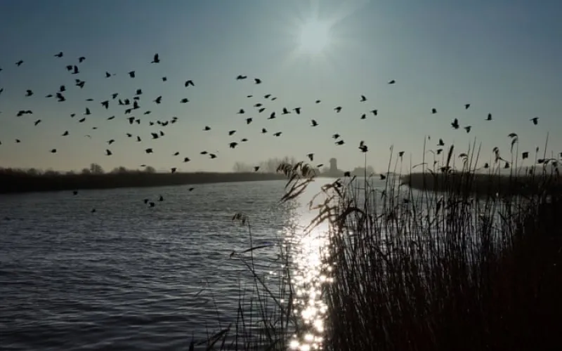‘Cash to trash’ levy on house developers too low to offset damage to Norfolk Broads, say critics