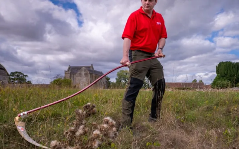 English Heritage trains new generation of scythers to maintain meadows and craft