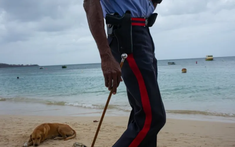 Family of British man found dead in Grenada ask local police to work with UK investigators