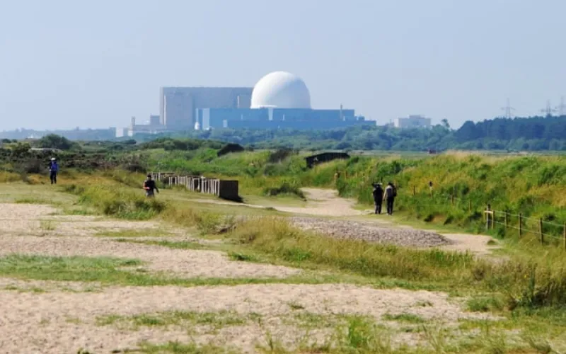 Green party drops longstanding opposition to nuclear power