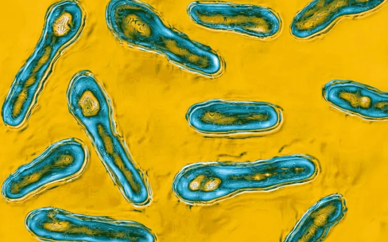 New York City med spa owner admits to giving client botulism with bootleg Botox