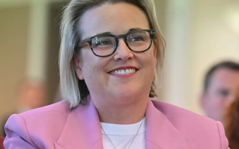 OpenAI must explain action taken to stop AI hacking Australians’ private data, chair of federal inquiry says