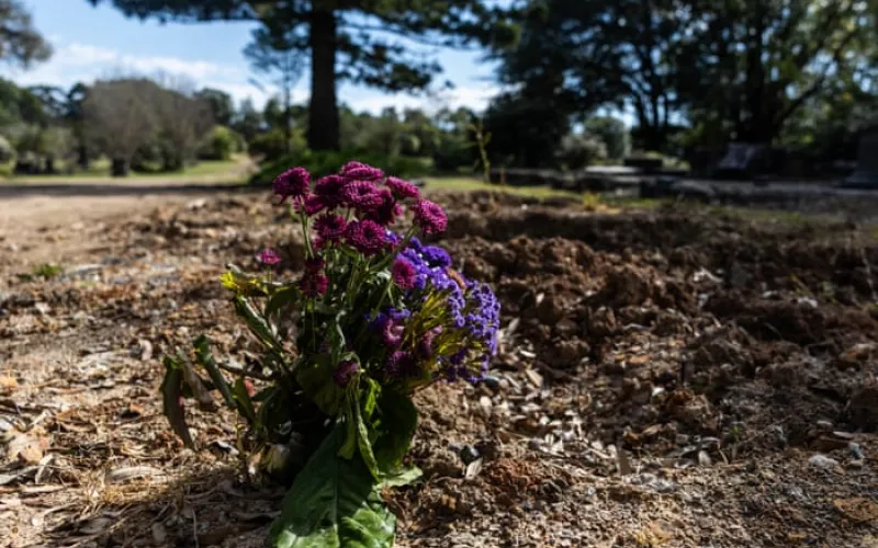 PM called on to act on communal grave revelations as NSW commits to urgent review